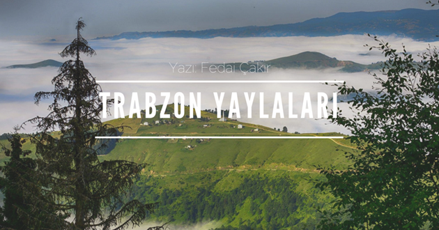 TRABZON YAYLALARI