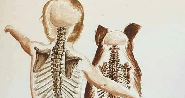 NEDEN KÖPEKLER İNSANLARDAN DAHA AZ YAŞAR